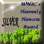 Silver award